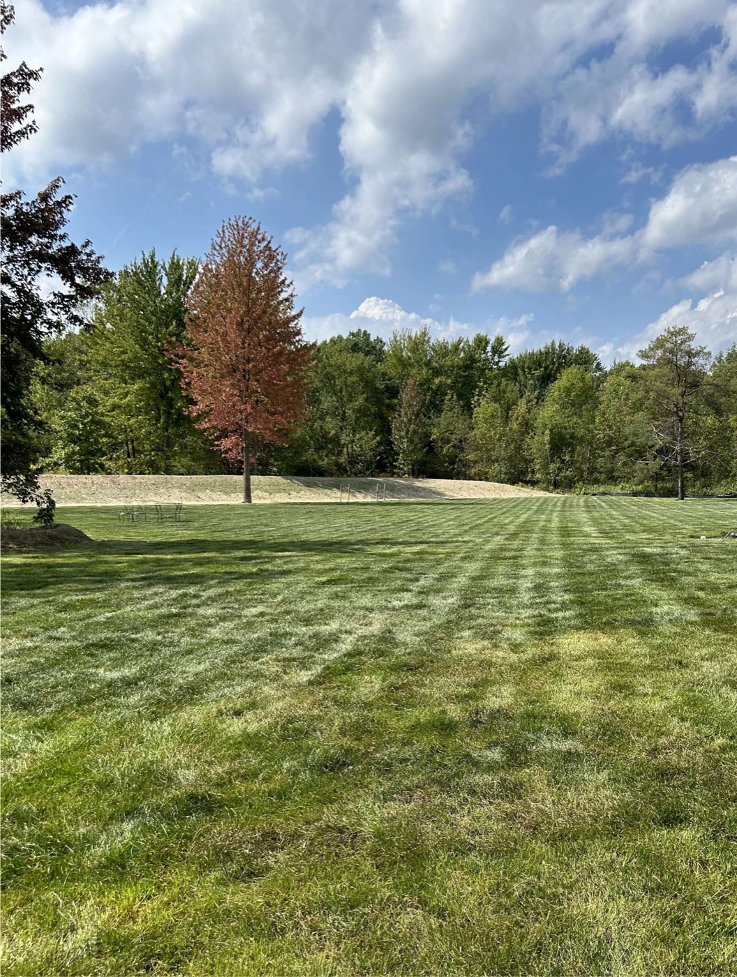 Freshly striped lawn bordered by trees